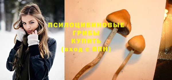 mdpv Елабуга