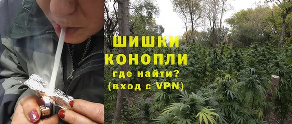 мяу мяу кристалл Ельня