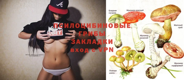 mdpv Елабуга