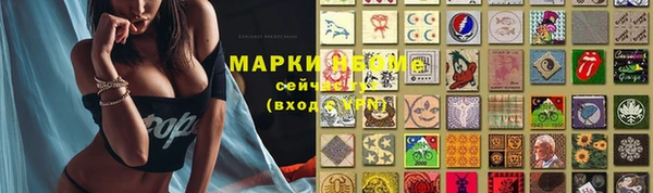mdpv Елабуга